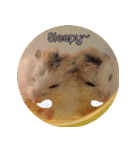 We are hamsters！（個別スタンプ：16）