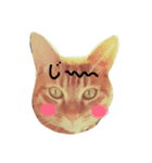 甘えん坊ネコ（個別スタンプ：1）