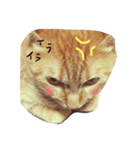 甘えん坊ネコ（個別スタンプ：3）