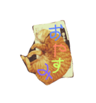 甘えん坊ネコ（個別スタンプ：8）
