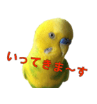 きっちゃんスタンプ（個別スタンプ：14）