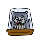 出目ぴょんと飼い主と猫のスタンプ（個別スタンプ：25）