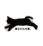 黒猫  ジジくん（個別スタンプ：2）