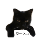 黒猫  ジジくん（個別スタンプ：3）