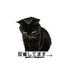 黒猫  ジジくん（個別スタンプ：7）