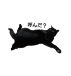 黒猫  ジジくん（個別スタンプ：14）