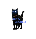 黒猫  ジジくん（個別スタンプ：16）