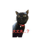 黒猫  ジジくん（個別スタンプ：18）