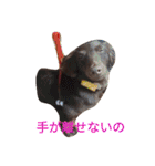 キャリコの日常（個別スタンプ：15）