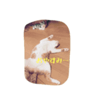 ふぐとイーサン（個別スタンプ：1）