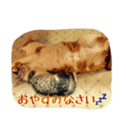 ふぐとイーサン（個別スタンプ：2）
