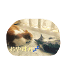 ふぐとイーサン（個別スタンプ：4）