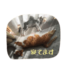 ふぐとイーサン（個別スタンプ：5）