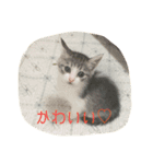 ふぐとイーサン（個別スタンプ：8）