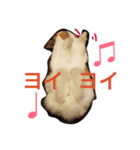 もっふりまんちゃん（個別スタンプ：4）