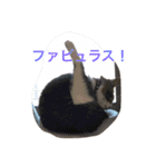 まめたにゃー1（個別スタンプ：3）