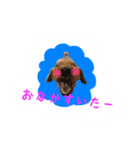 ぷぅばぅ（個別スタンプ：2）