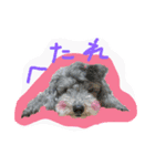 ぷぅばぅ（個別スタンプ：3）