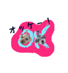 ぷぅばぅ（個別スタンプ：6）