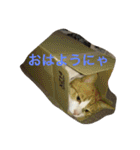 チビ太のスタンプ（個別スタンプ：11）