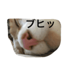チビ太のスタンプ（個別スタンプ：13）