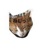 チビ太のスタンプ（個別スタンプ：14）