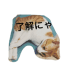 チビ太のスタンプ（個別スタンプ：15）