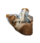 チビ太のスタンプ（個別スタンプ：16）