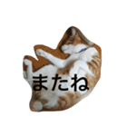 チビ太のスタンプ（個別スタンプ：21）