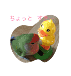 ぺぺカルミート（個別スタンプ：8）