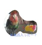 ぺぺカルミート（個別スタンプ：12）