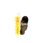 玲菜ちゃん（個別スタンプ：16）