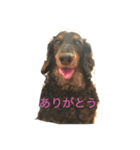 めるまりん（個別スタンプ：1）