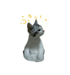 猫スタ（ねこのすたんぷ）（個別スタンプ：14）
