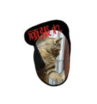 猫スタ（ねこのすたんぷ）（個別スタンプ：30）