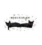 リアルな黒猫・敬語（個別スタンプ：8）