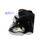 れんちゃんの日常（個別スタンプ：2）