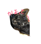 みやちゃん（個別スタンプ：7）