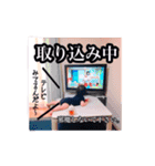 晴翔くんのスタンプ 1（個別スタンプ：40）