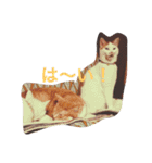 ちゃちゃみるくー（個別スタンプ：3）