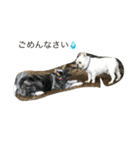 秋田犬 うた（個別スタンプ：5）