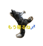 秋田犬 うた（個別スタンプ：8）