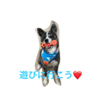 秋田犬 うた（個別スタンプ：9）