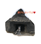 秋田犬 うた（個別スタンプ：13）