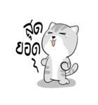 Takky Life（個別スタンプ：6）