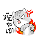 Takky Life（個別スタンプ：12）