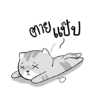 Takky Life（個別スタンプ：19）
