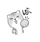 Takky Life（個別スタンプ：21）