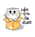 Takky Life（個別スタンプ：40）
