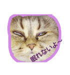 sakuran's（個別スタンプ：2）